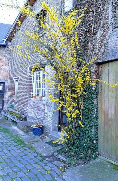 Au Moulin de l'Andelle - Photo 1