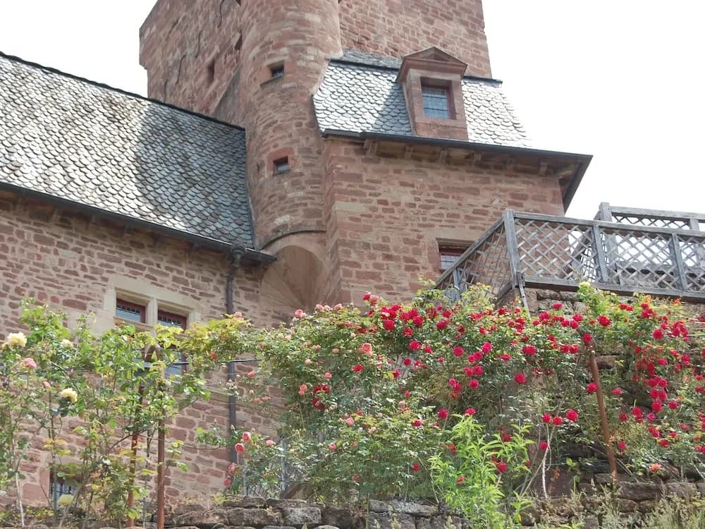 Château La Servayrie - Photo 1