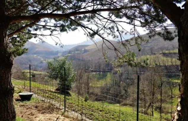 les trois monts - Photo 1