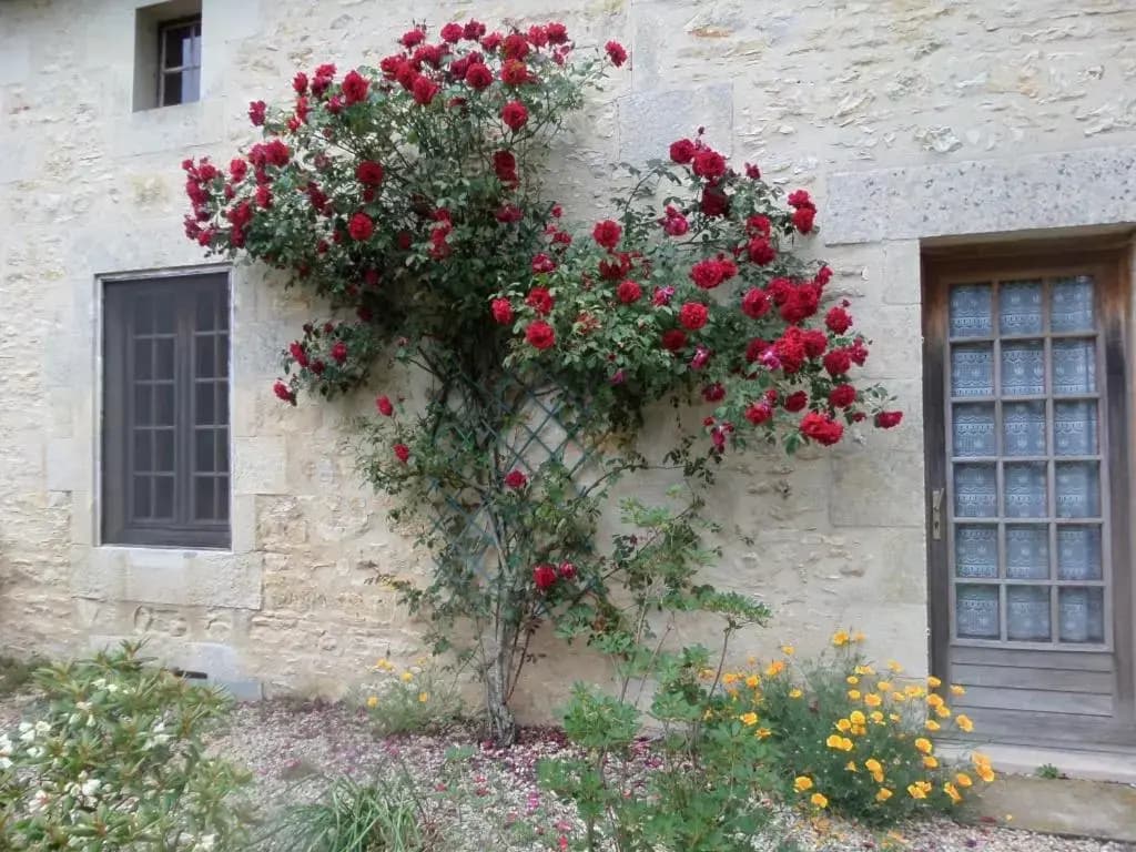 La Roseraie - Photo 1