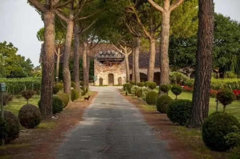 Château Saint Louis - Photo 1