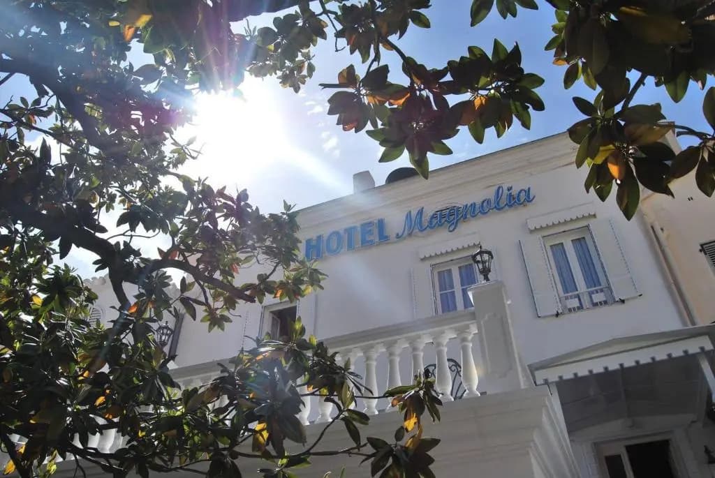 Le Magnolia - Photo 1