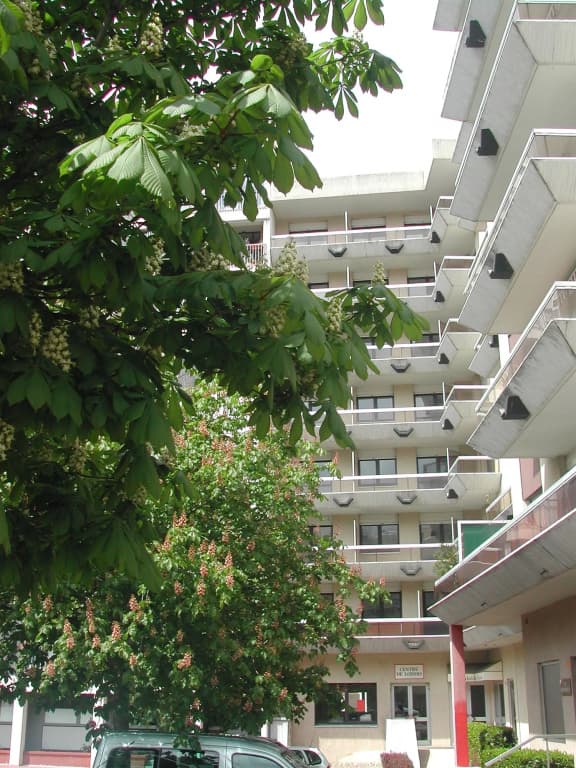 Les Palatines - Residence - Photo 1
