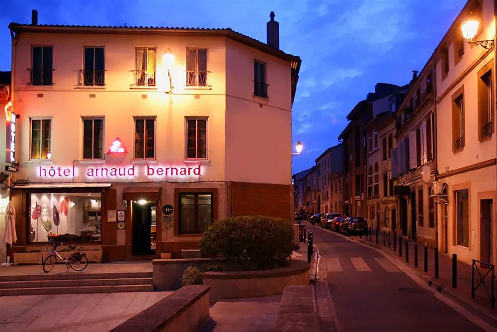 Hôtel Arnaud Bernard - Photo 1