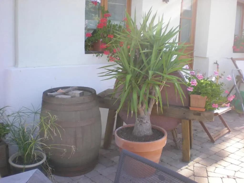 Le Pressoir des 4 Saisons - Photo 1