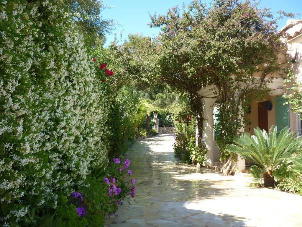 Saray - Photo 1