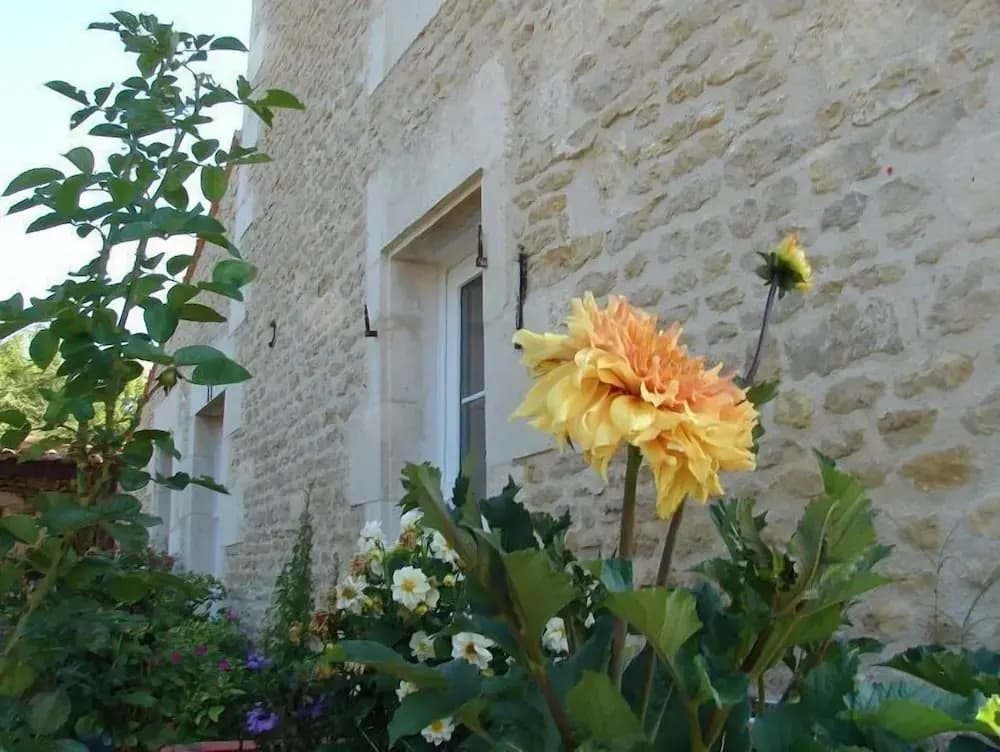 Chambres d'Hôtes Le Marais Picotin - Photo 1