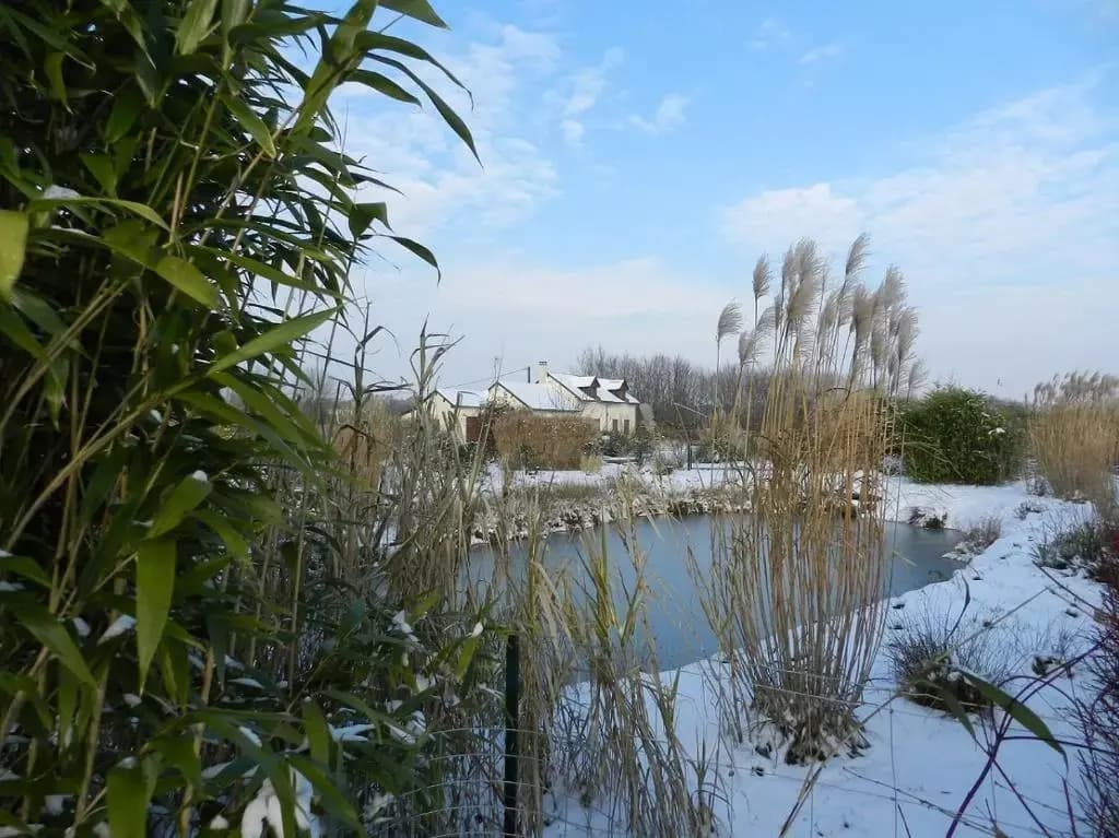 Gîte La Grenouillère - Photo 1