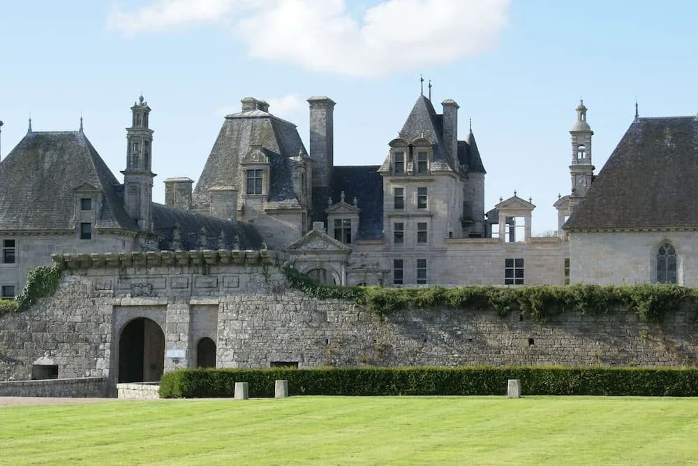 La Canopée des pins - Photo 1