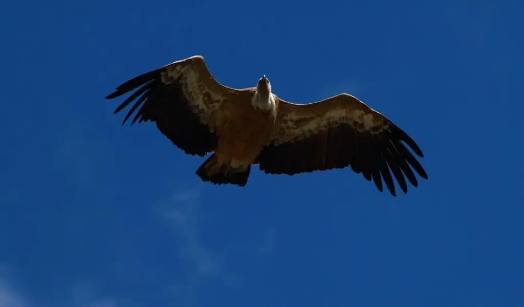 Gites Chameyer - Photo 1