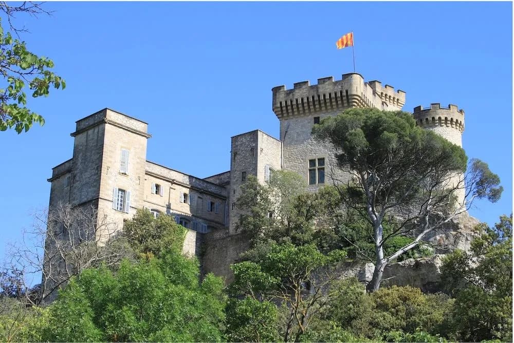 Château de la Barben - Photo 1