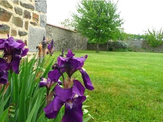 Les Blotteries - Photo 1