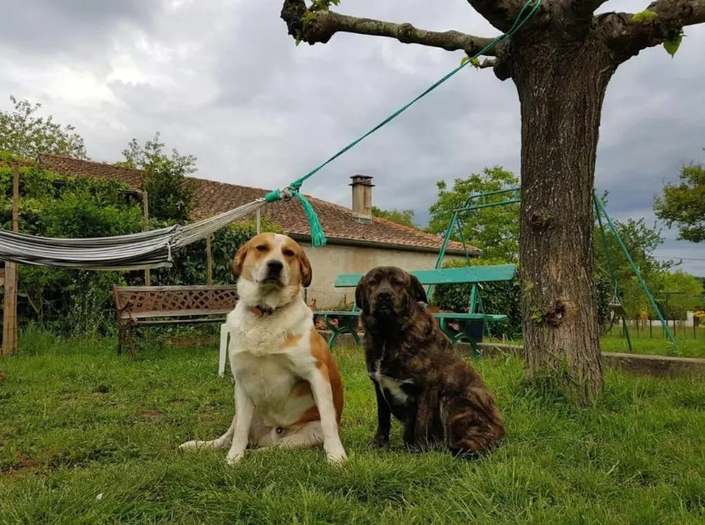gîte en sud Ardèche - Photo 1