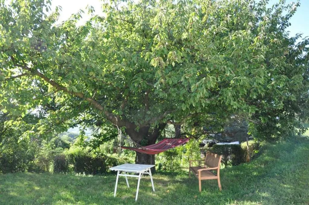 Gite Abricotier - Photo 1