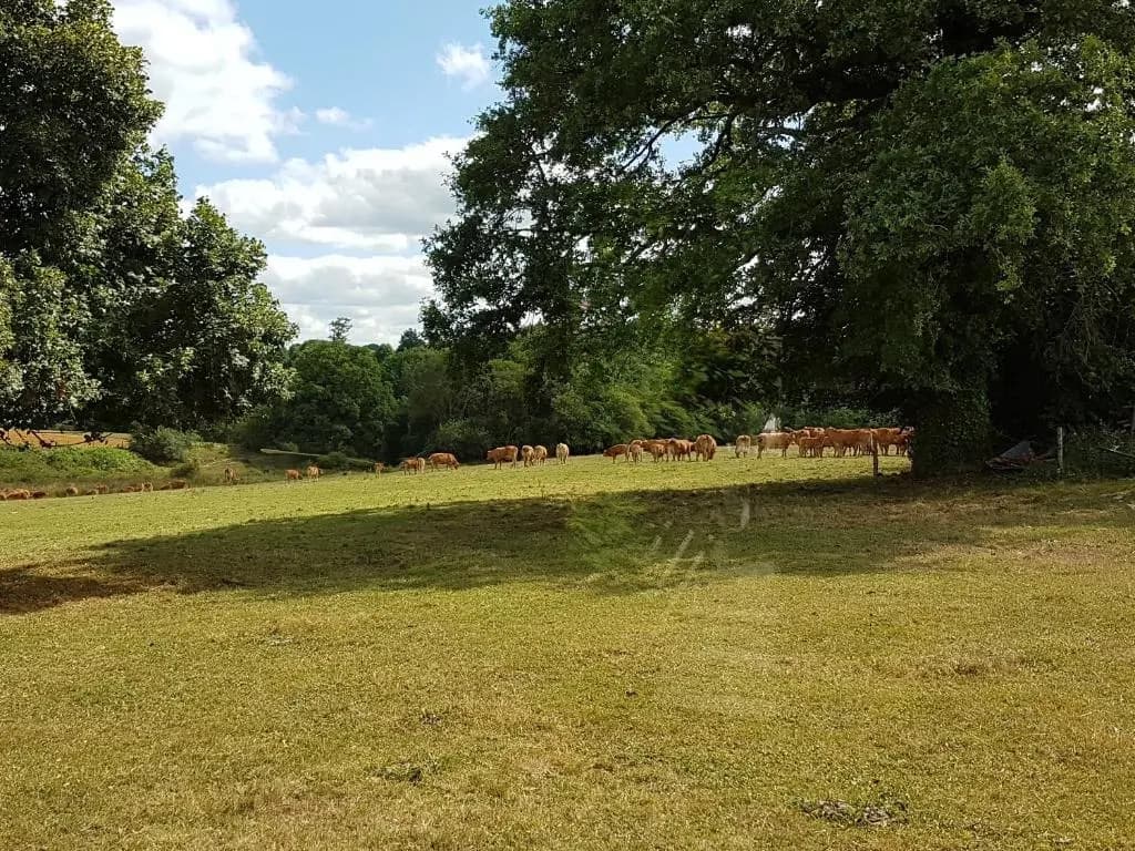 La Thibaudiere Tilleul - Photo 1