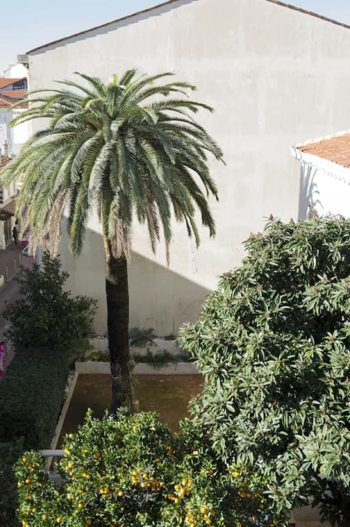 Cannes Marceau Croisette - Photo 1