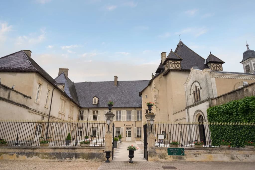 Château de Pizay - Photo 1