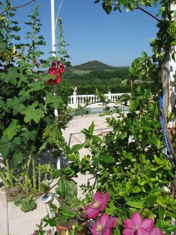 La Bastide des Raisins - Photo 1