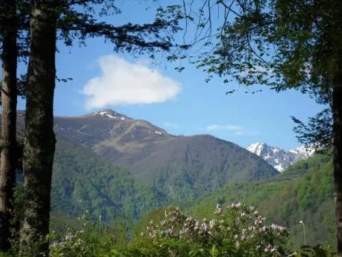 Camping Le Haut-Salat - Photo 1