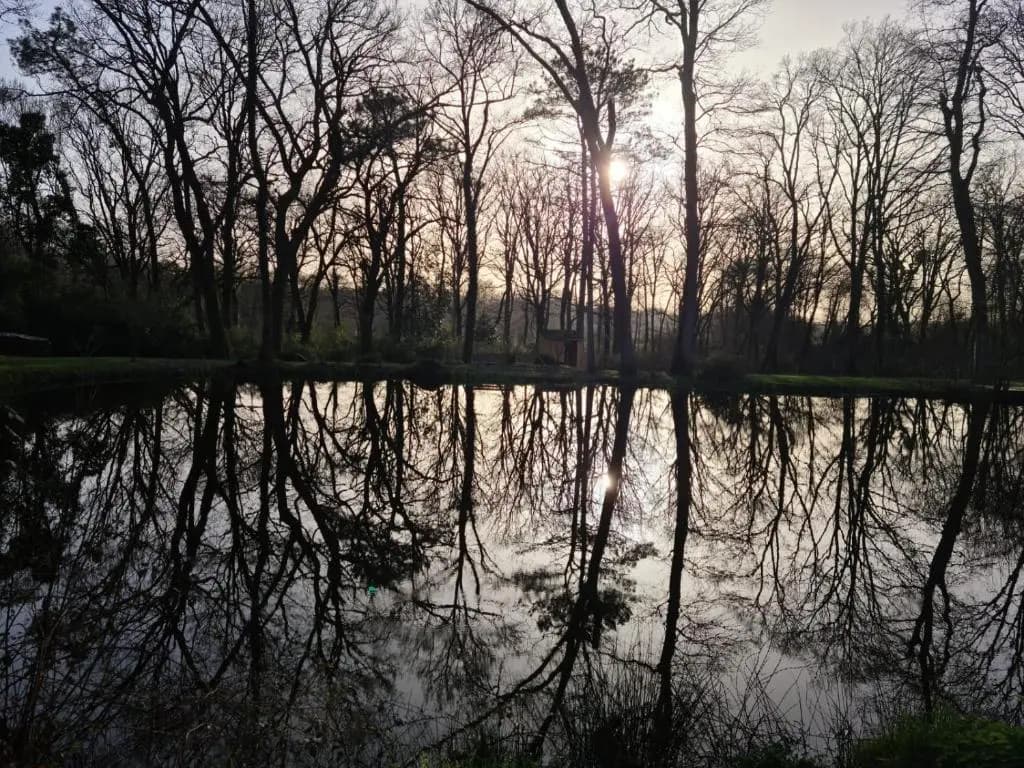 Le Moulin de Saubrigues - Photo 1