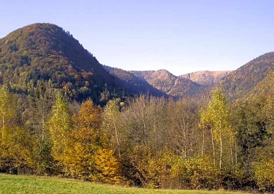 Chambres d'hôtes Les Cigognes - Photo 1