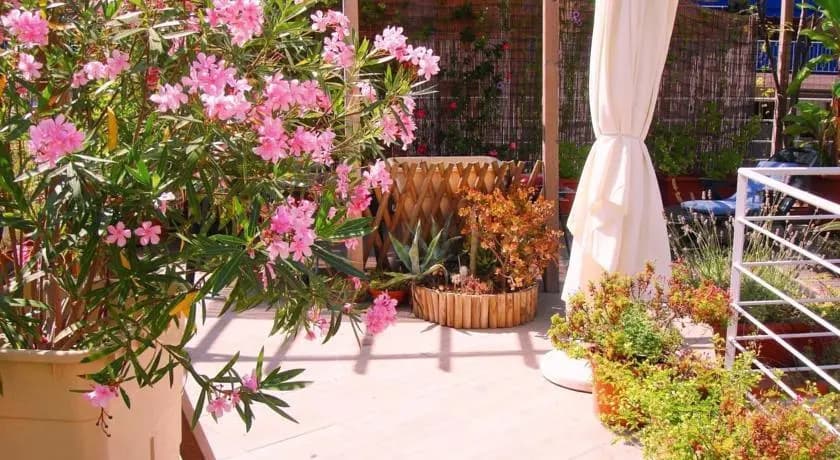 Villa Sud - Photo 1