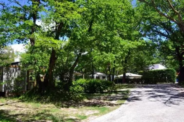 Domaine de la Coronne ***