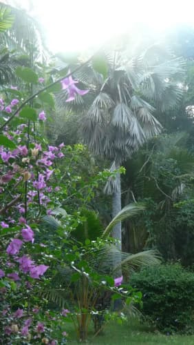 Le Jardin Maore