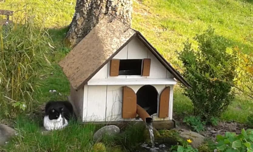Romantic Studio Vacances