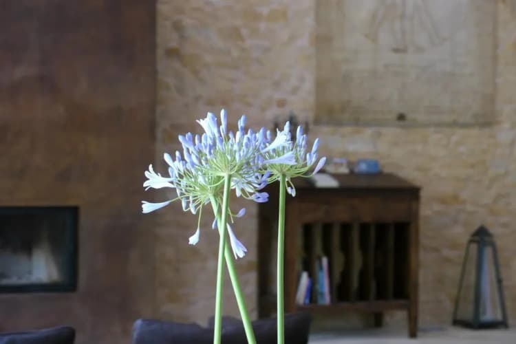 La Bastide d'Amalthée