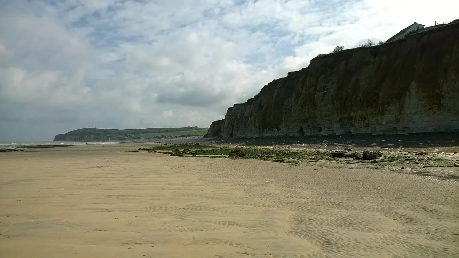 Les falaises crayeuses de Quiberville-sur-Mer vues depuis la côte ouest