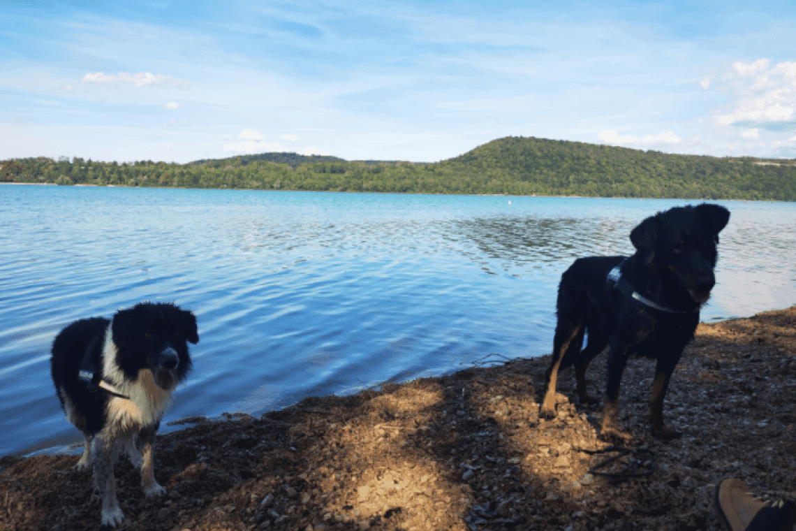 Lac de chalain