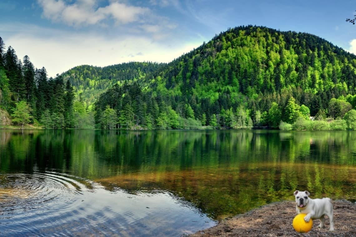 Lac de Gérardmer