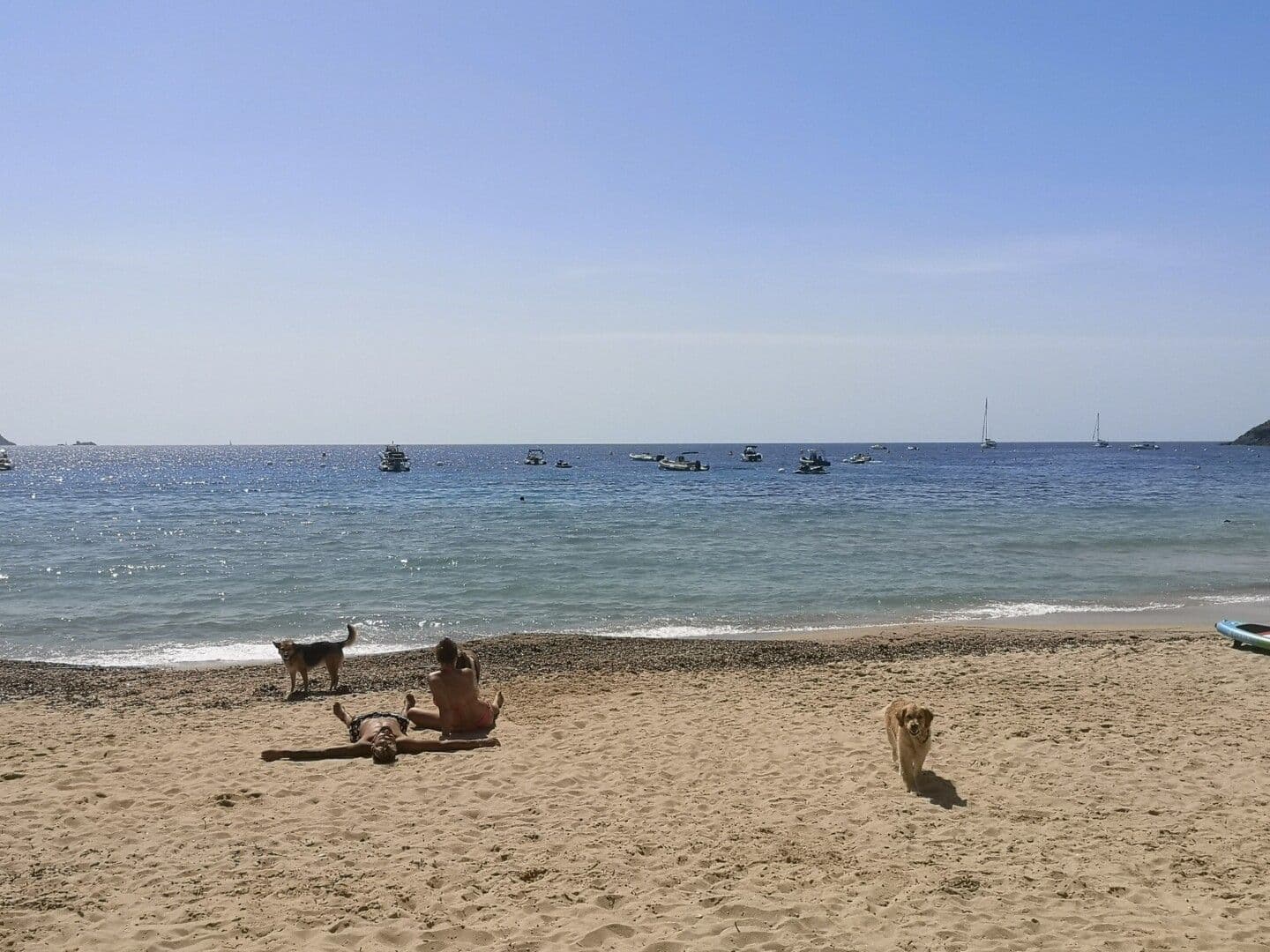 Plage d’Arone